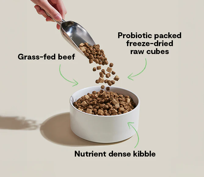 GoodGut Grass-Fed Beef Dog Kibble - Image 5