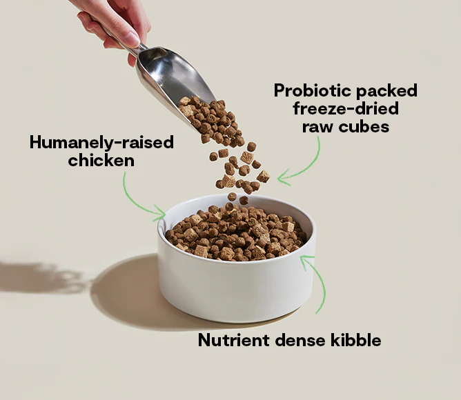 GoodGut Harvest Chicken Dog Kibble - Image 5