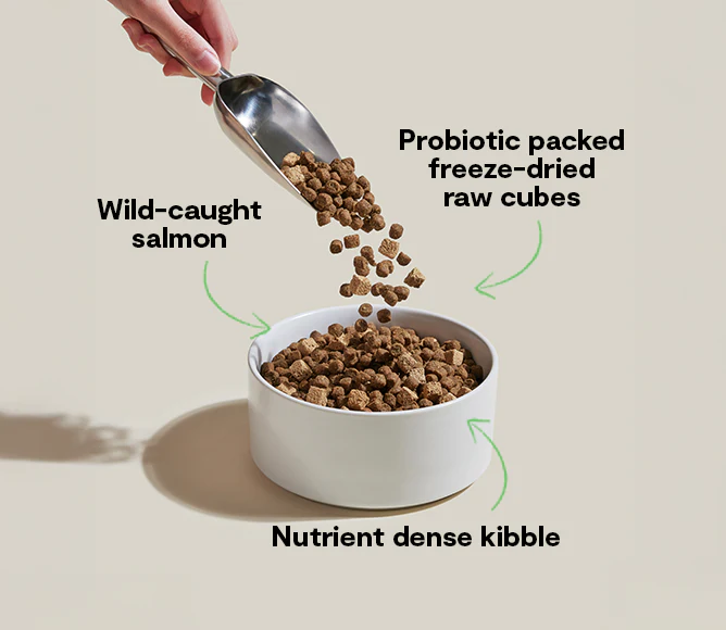 GoodGut Wild-Caught Salmon Dog Kibble - Image 5