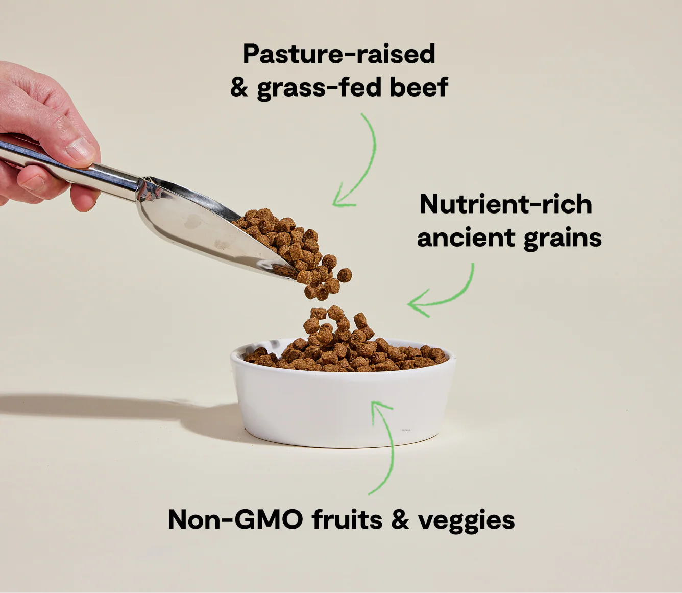 Grass-Fed Beef & Ancient Grains Dog Kibble - Image 4