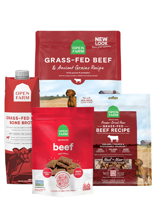 Grass-Fed Goodness Bundle