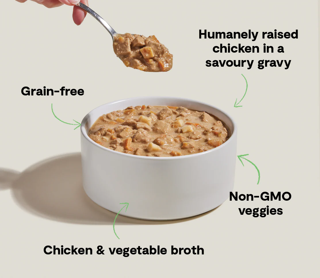 Harvest Chicken Hearty Stew Wet Dog Food - Image 4