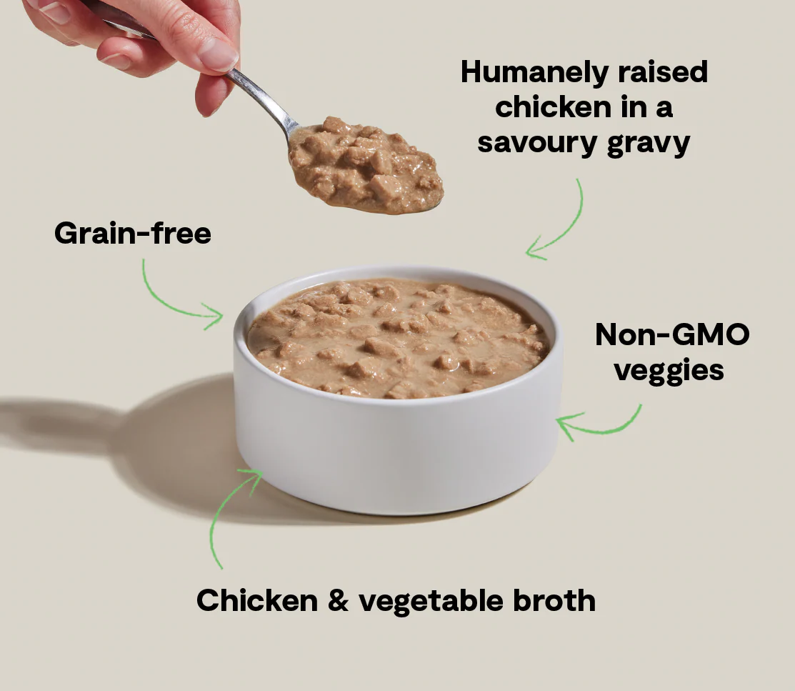 Harvest Chicken Morsels in Gravy for Cats - Image 4