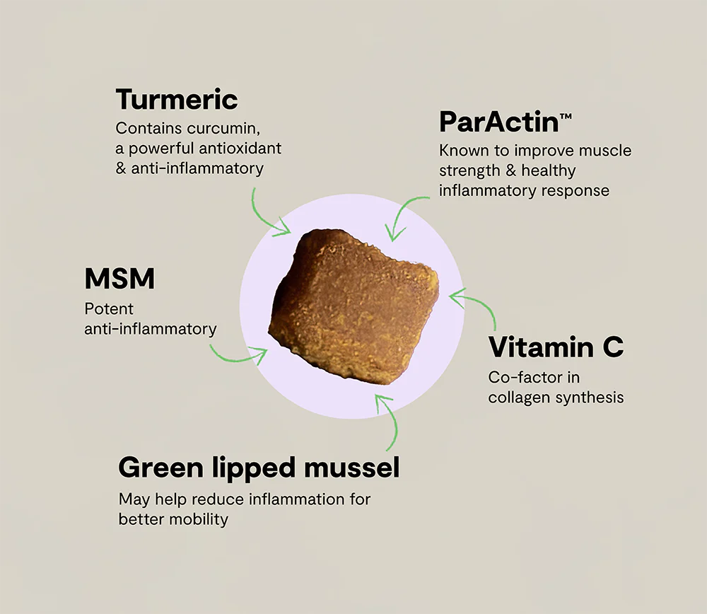 Hip & Joint Health Supplement Chews for Dogs - Image 5