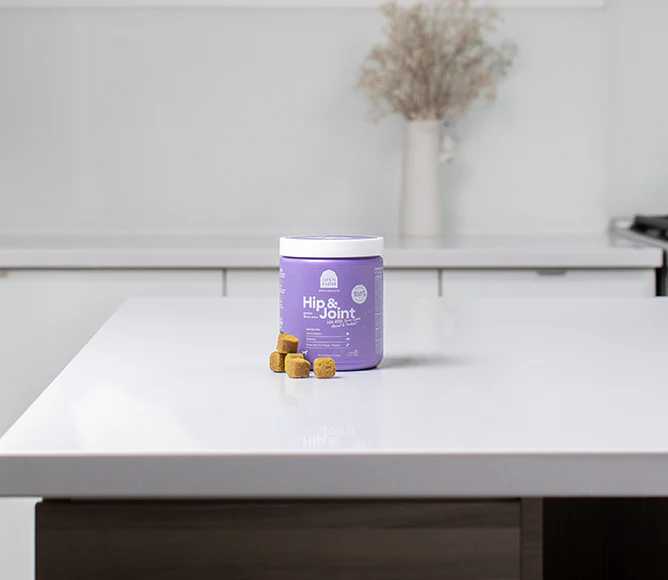Hip & Joint Health Supplement Chews for Dogs - Image 7