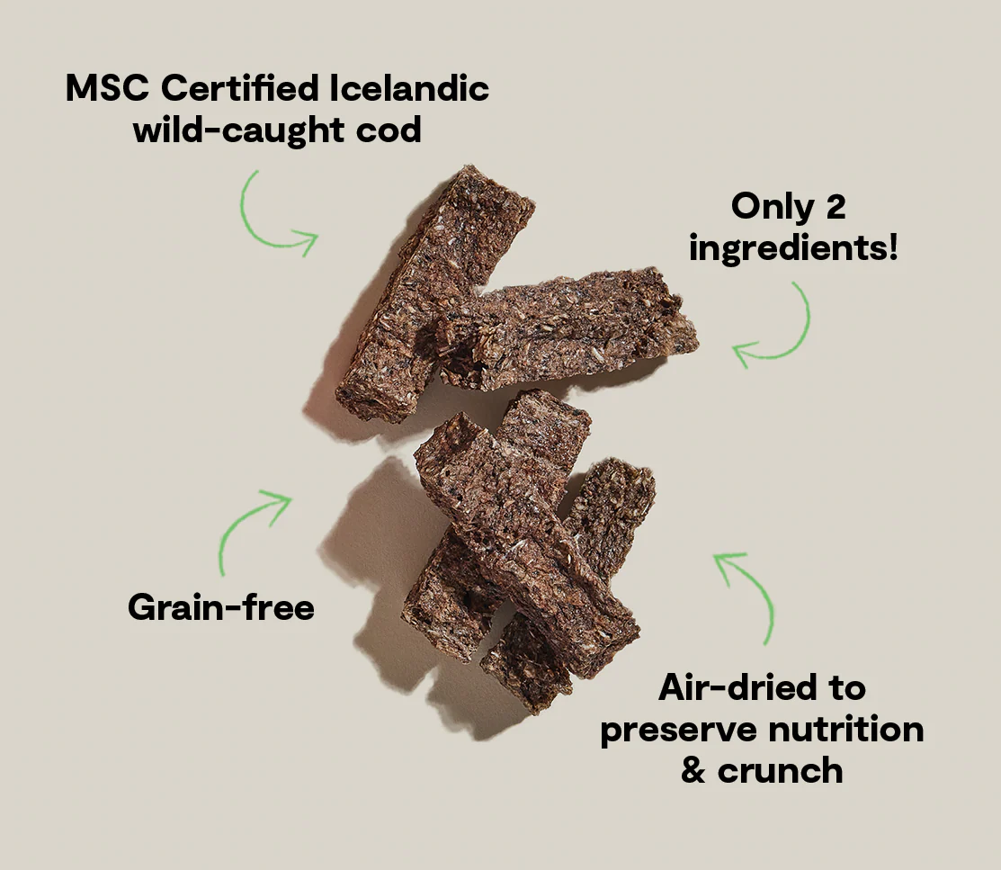 Icelandic Air-Dried Cod & Blueberry Dog Treat Bars - Image 5