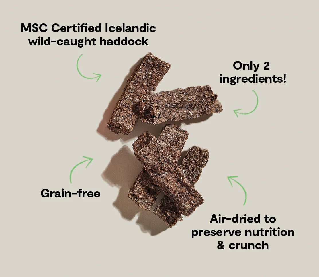 Icelandic Air-Dried Haddock & Blueberry Dog Treat Bars - Image 5