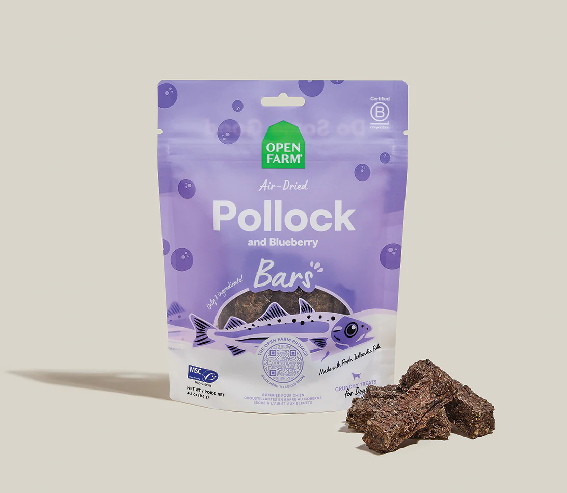 Icelandic Air-Dried Pollock & Blueberry Dog Treat Bars - Image 3