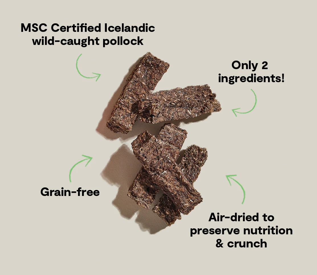 Icelandic Air-Dried Pollock & Blueberry Dog Treat Bars - Image 5