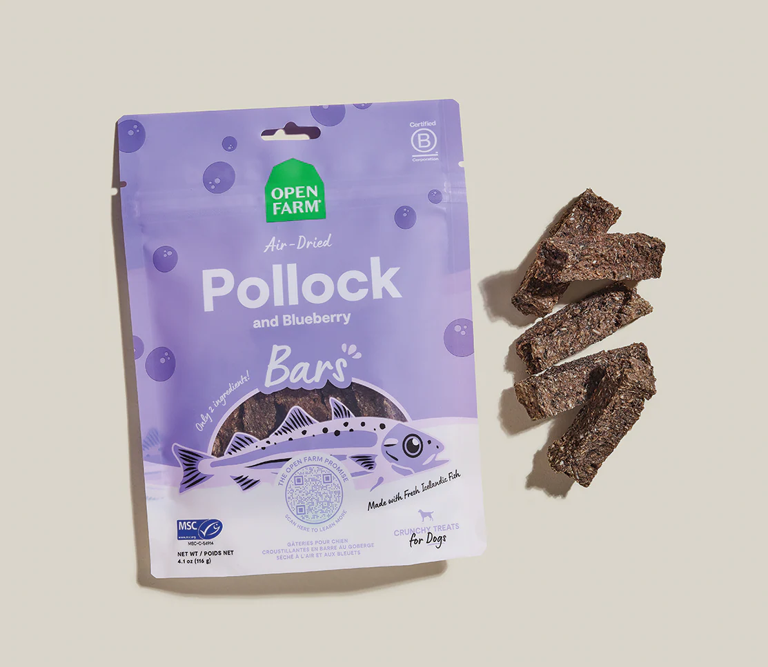 Icelandic Air-Dried Pollock & Blueberry Dog Treat Bars - Image 6
