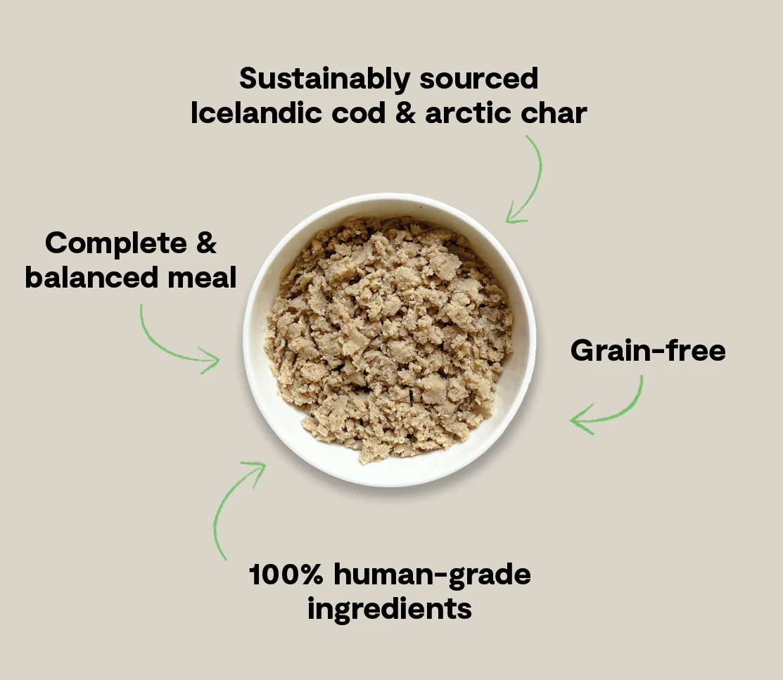 Icelandic Cod & Arctic Char Wet Food for Dogs - Image 5
