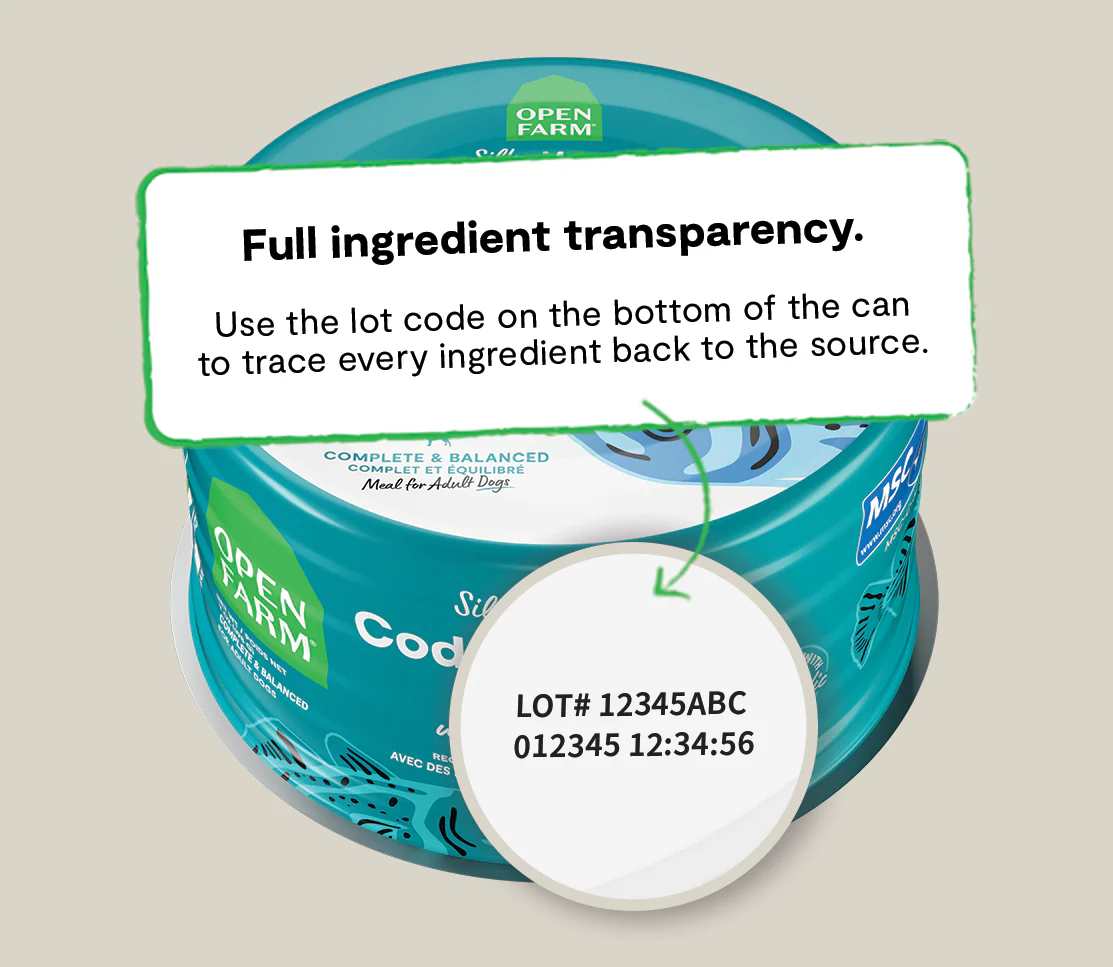 Icelandic Cod & Herring Wet Food for Dogs - Image 4