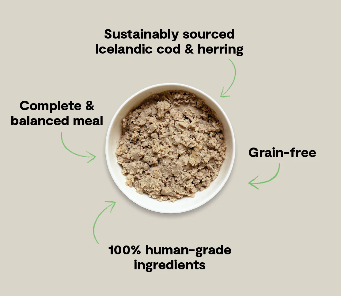 Icelandic Cod & Herring Wet Food for Dogs - Image 5
