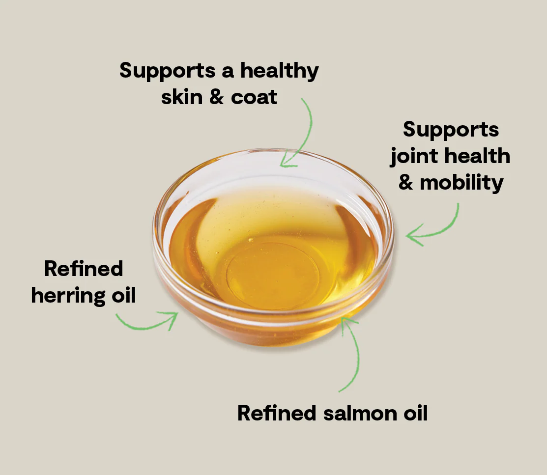 Icelandic Herring & Salmon Oil For Dogs - Image 4