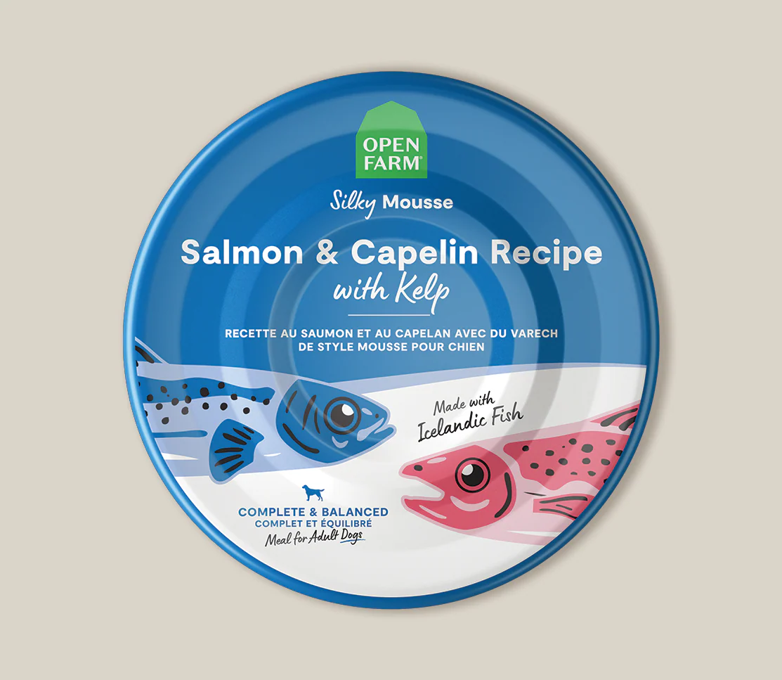 Icelandic Salmon & Capelin Wet Food for Dogs - Image 3