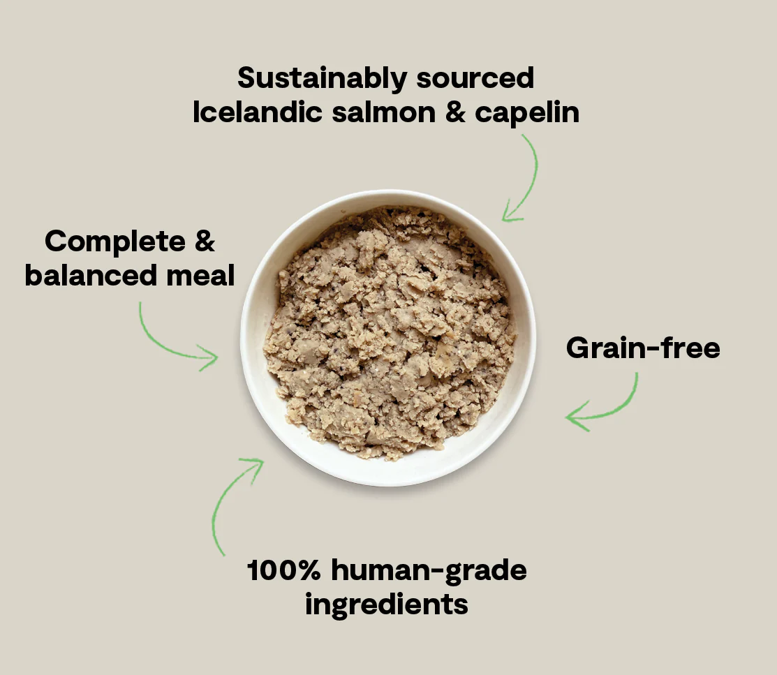 Icelandic Salmon & Capelin Wet Food for Dogs - Image 5