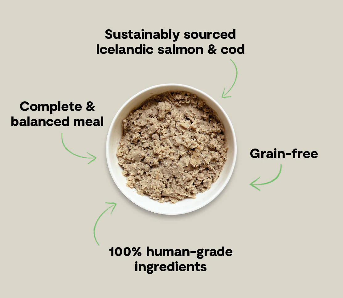 Icelandic Salmon & Cod Wet Food for Dogs - Image 5