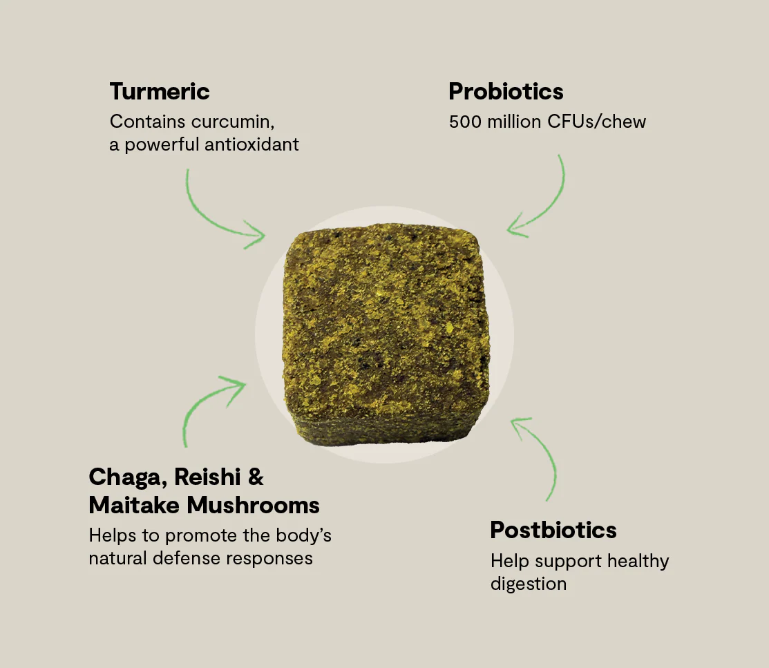 Immune Supplement Chews for Dogs - Image 4
