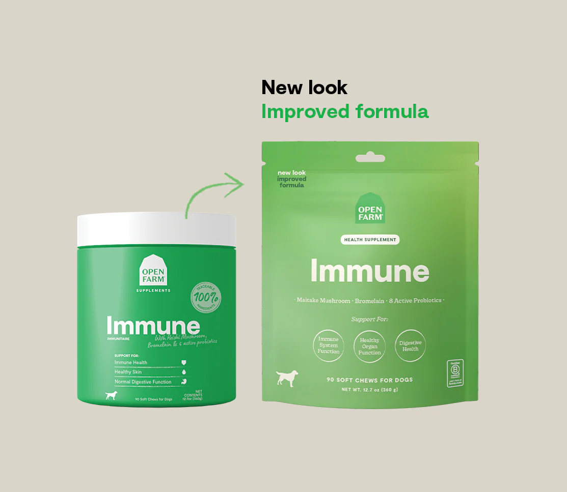 Immune Supplement Chews for Dogs - Image 5
