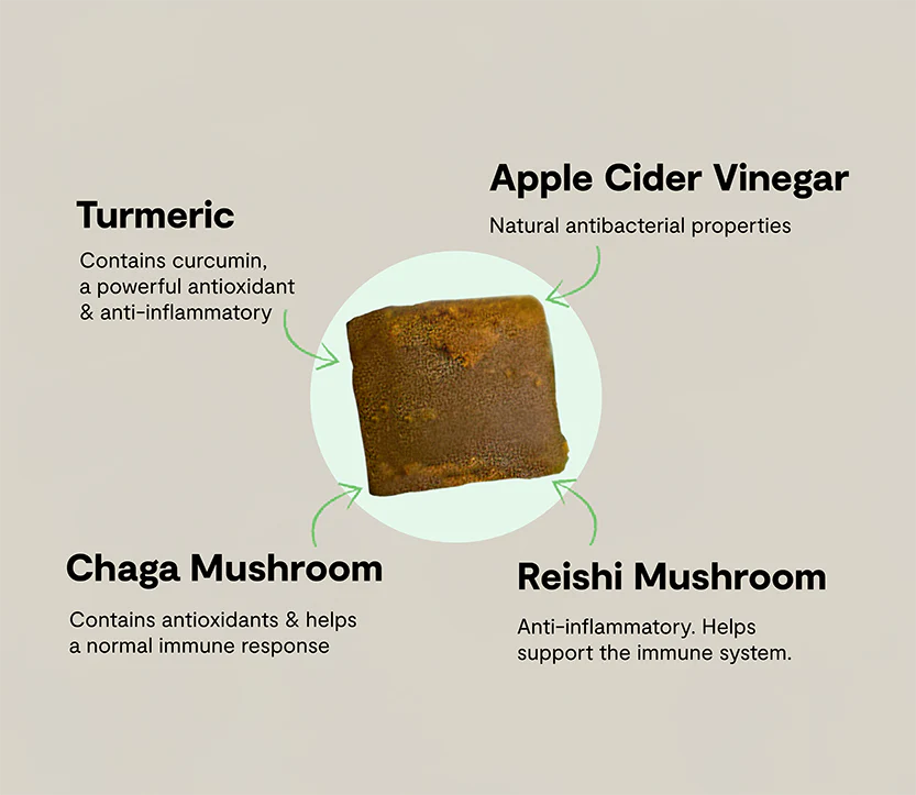 Immune Health Supplement Chews for Dogs - Image 5