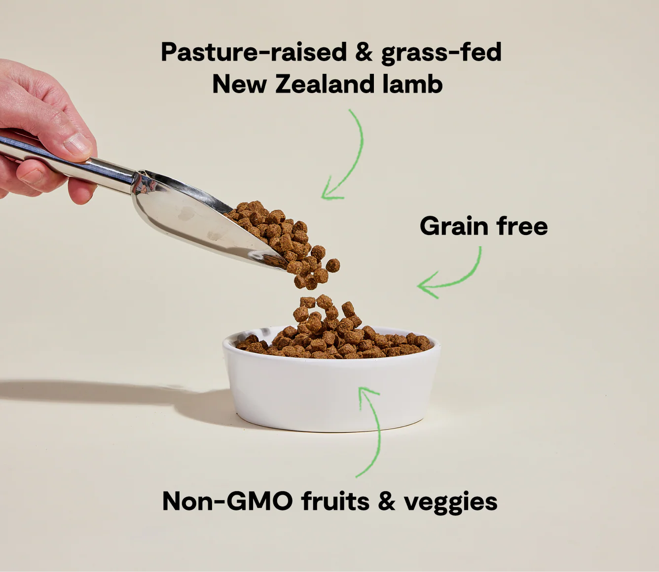 Pasture-Raised Lamb Grain-Free Dog Kibble - Image 4