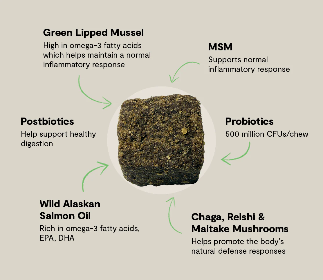 Multi+ Supplement Chews for Dogs - Image 4