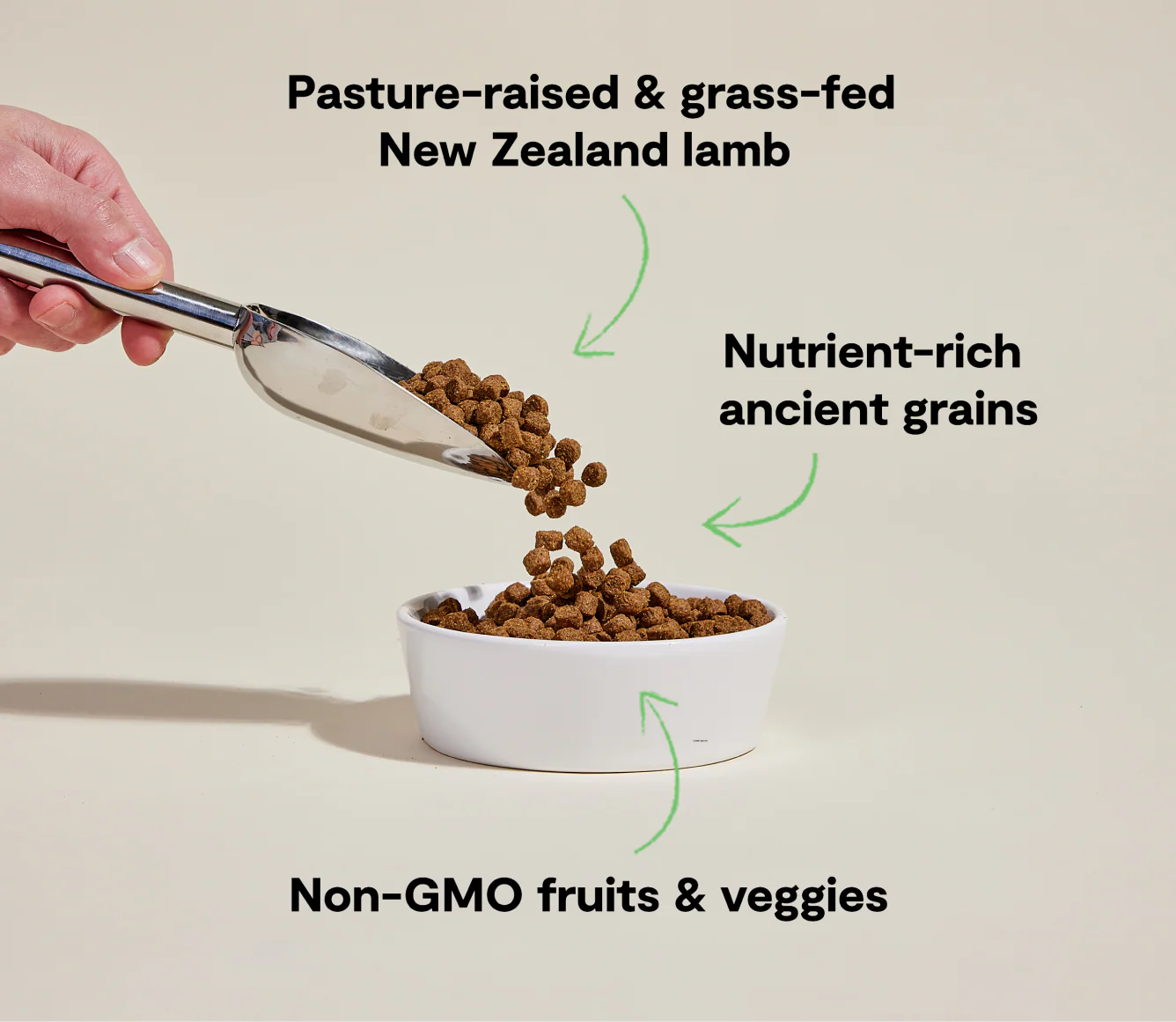 Pasture-Raised Lamb & Ancient Grains Dog Kibble - Image 4