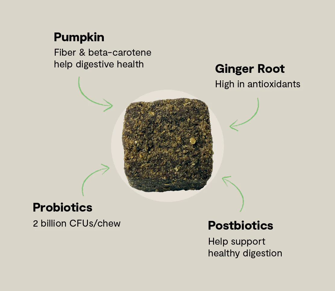 Probiotic Supplement Chews for Dogs - Image 4