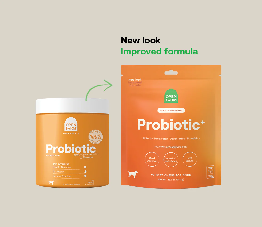 Probiotic Supplement Chews for Dogs - Image 5