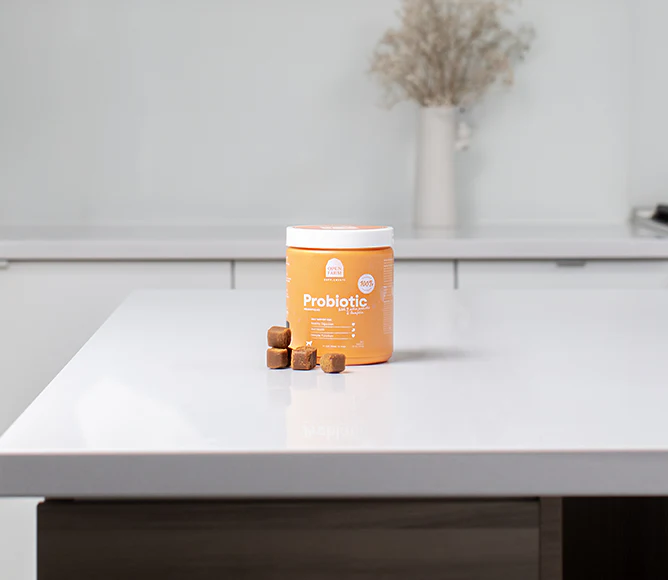 Probiotic Food Supplement Chews for Dogs - Image 4