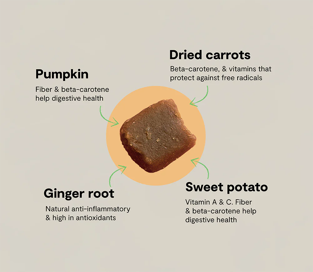 Probiotic Food Supplement Chews for Dogs - Image 5