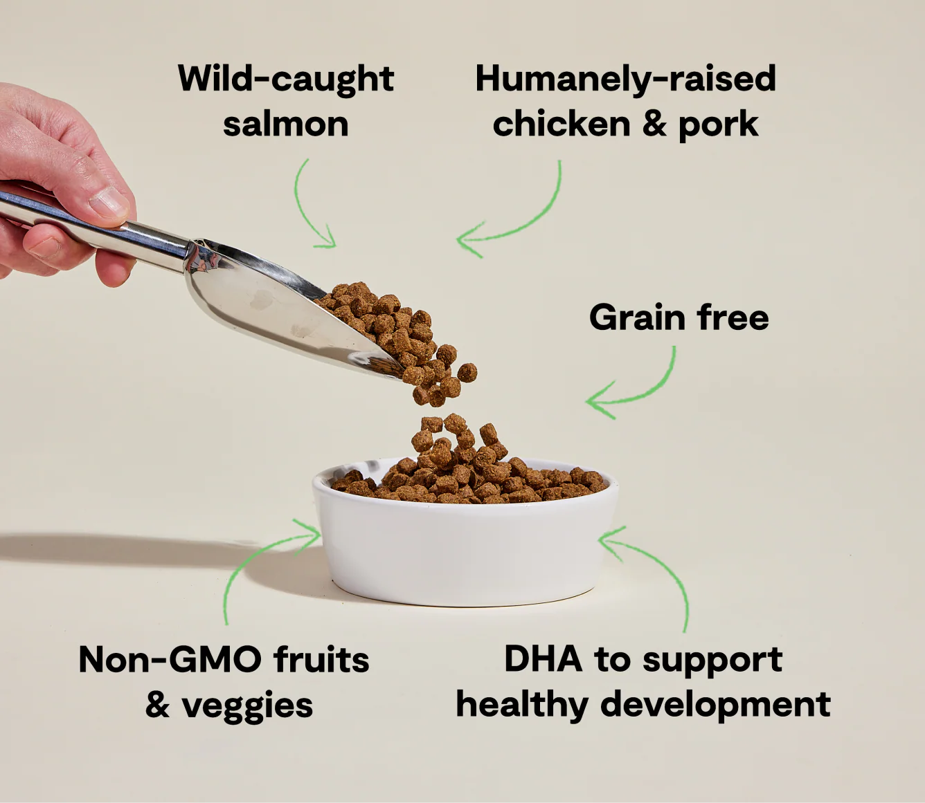Chicken & Salmon Grain-Free Puppy Kibble - Image 4
