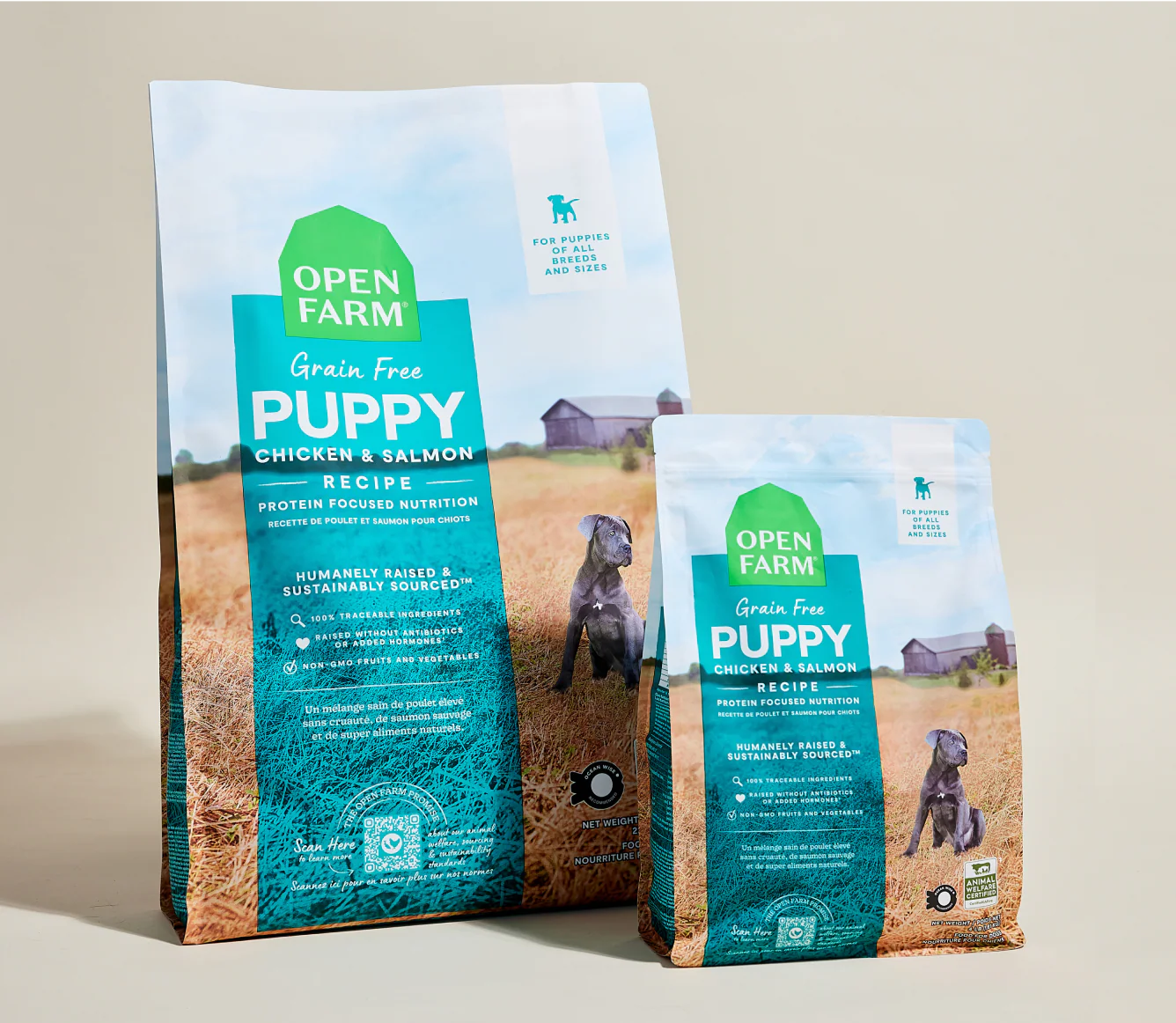 Chicken & Salmon Grain-Free Puppy Kibble - Image 7