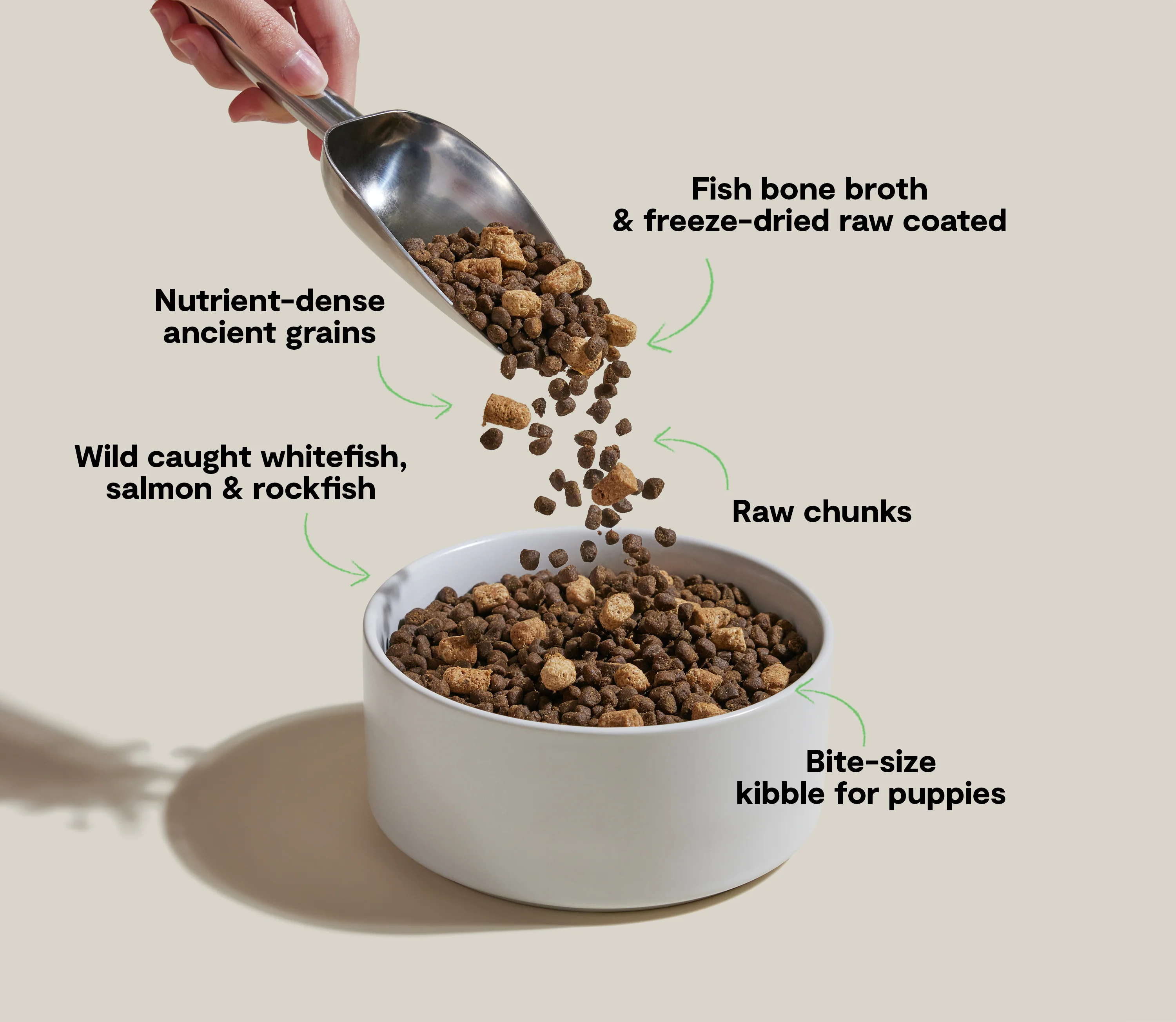 RawMix Ancient Grains Puppy Kibble - Image 4
