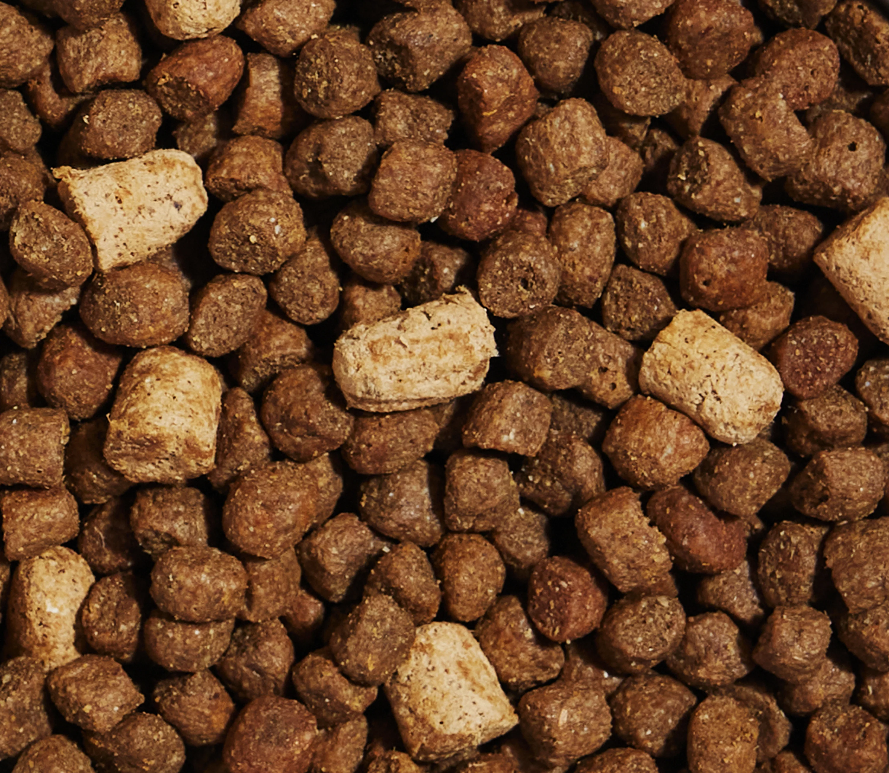RawMix Grain-Free Puppy Kibble - Image 5