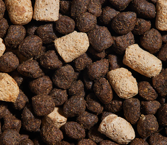 RawMix Great Plains Ancient Grains Dog Kibble - Image 5