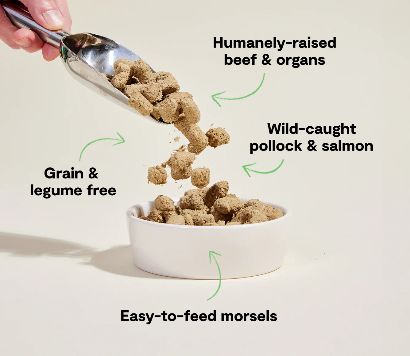 RawMix Tide & Terrain Freeze Dried Raw Morsels for Dogs - Image 4