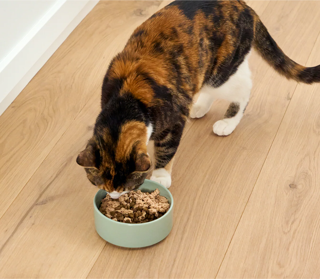 Salmon & Cod Topper for Cats - Image 5