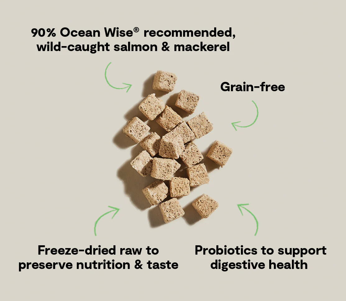 Salmon & Mackerel Kitty Cube Treats - Image 5