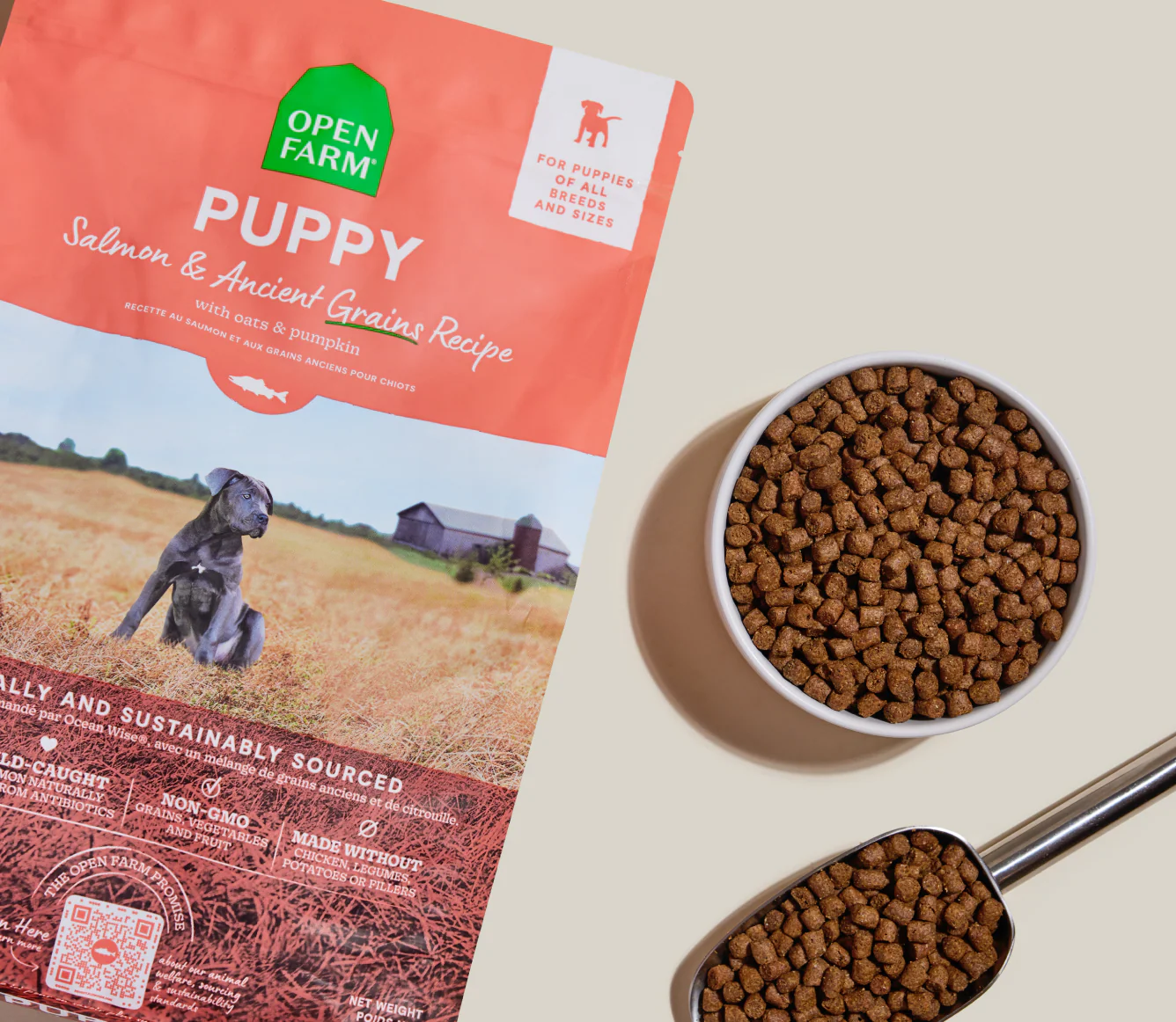 Salmon & Ancient Grains Puppy Kibble - Image 3