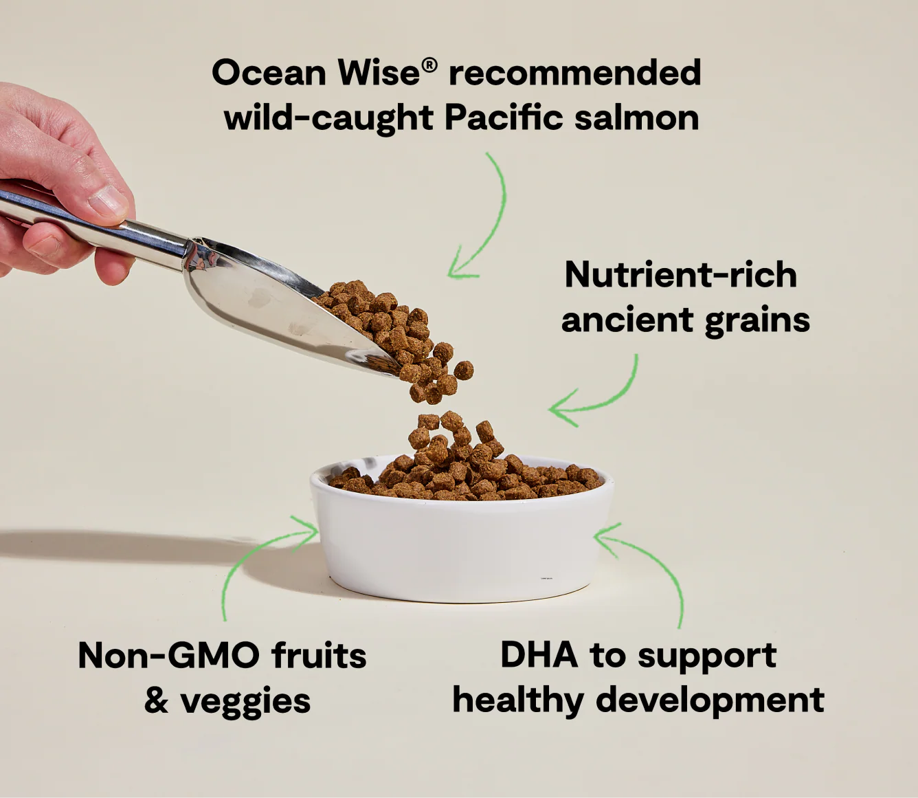 Salmon & Ancient Grains Puppy Kibble - Image 4