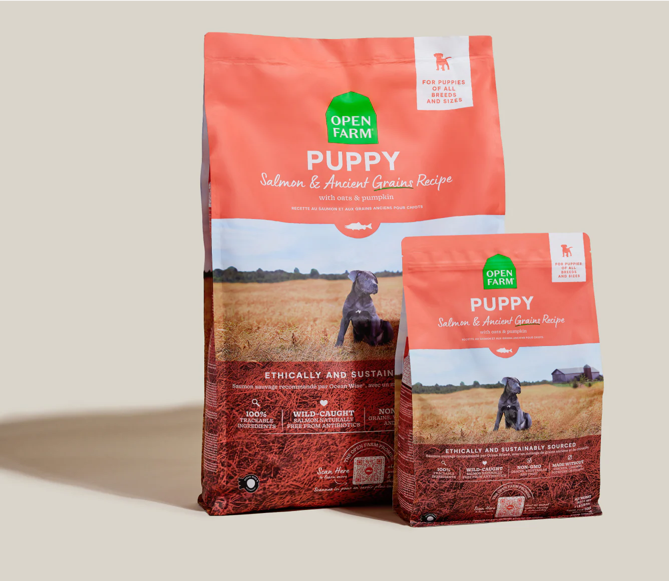 Salmon & Ancient Grains Puppy Kibble - Image 7