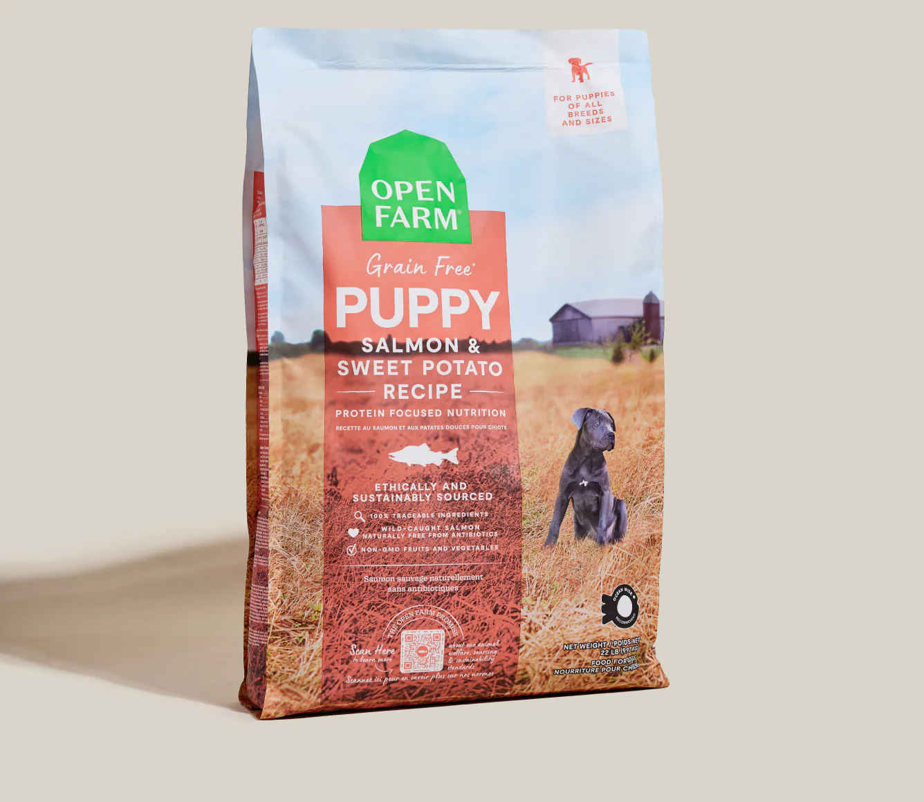 Salmon Grain-Free Puppy Kibble - Image 2