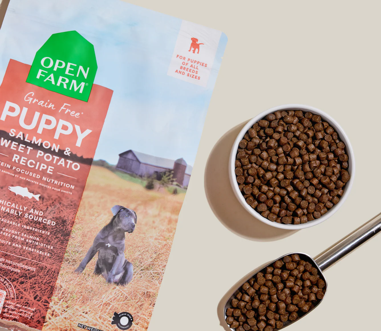 Salmon Grain-Free Puppy Kibble - Image 3