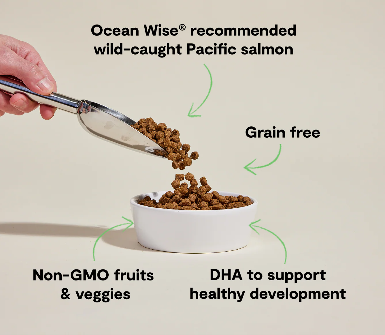 Salmon Grain-Free Puppy Kibble - Image 4
