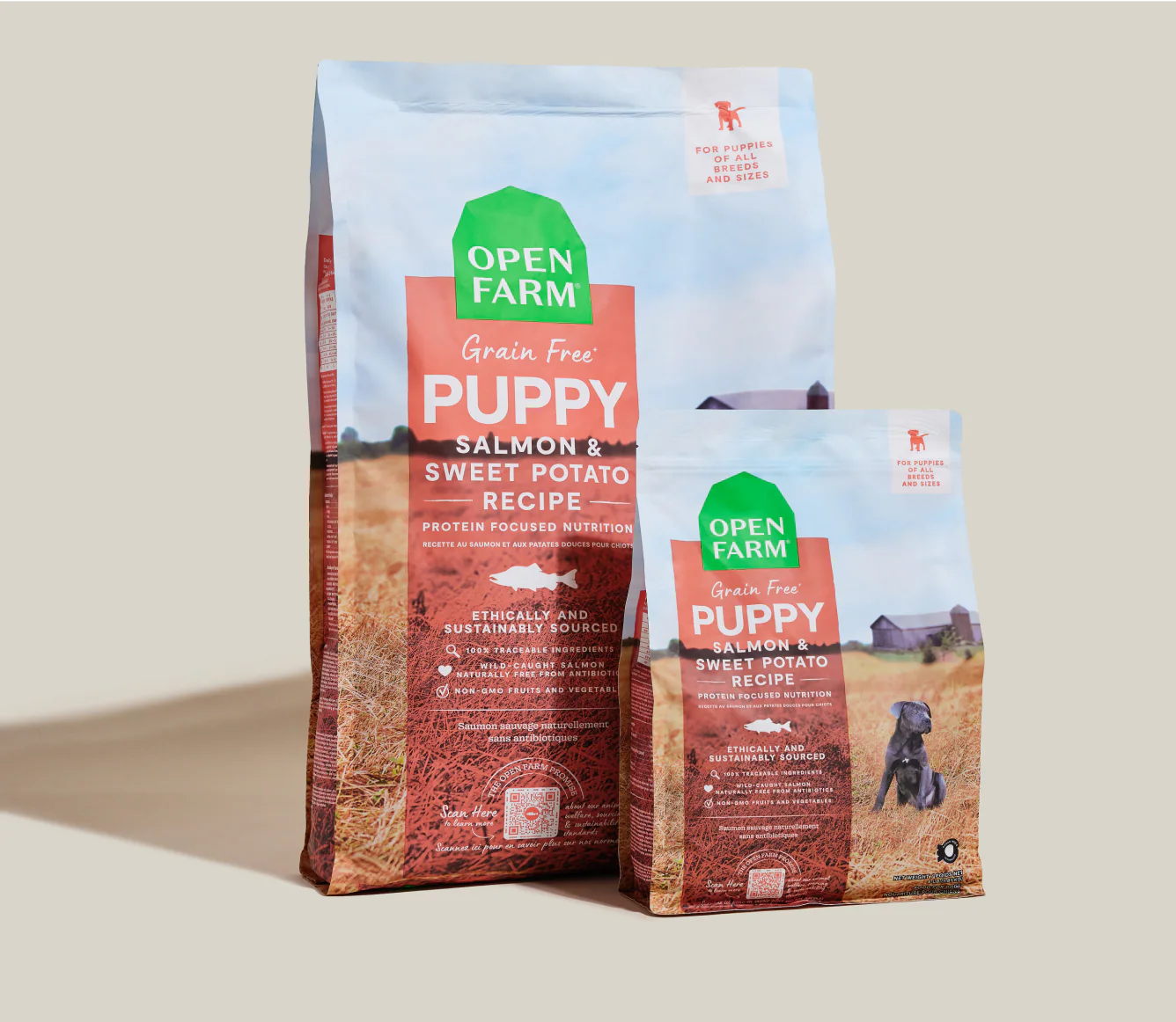 Salmon Grain-Free Puppy Kibble - Image 7
