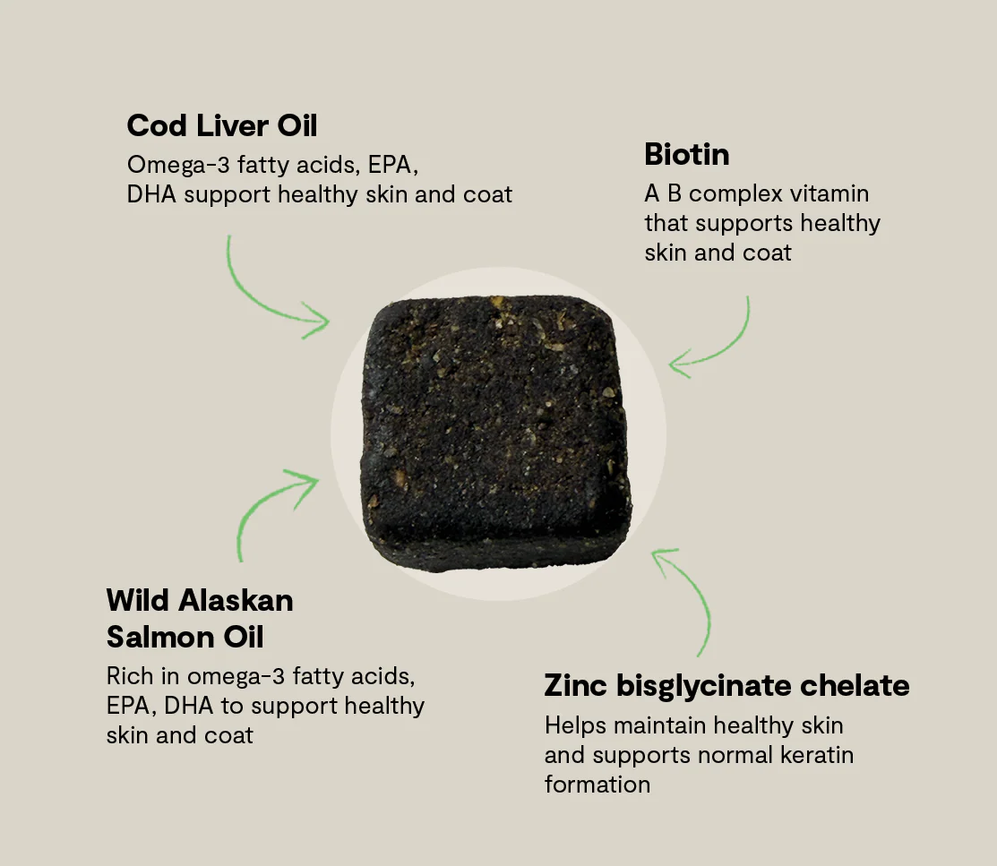 Skin & Coat Supplement Chews for Dogs - Image 4