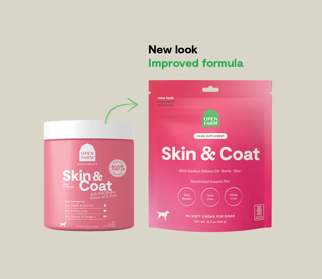Skin & Coat Supplement Chews for Dogs - Image 5