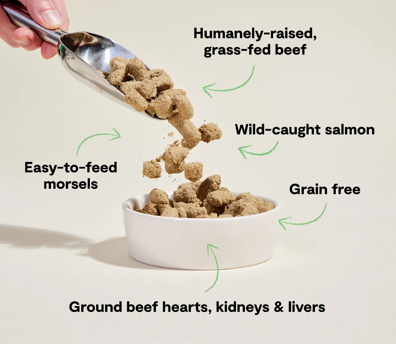Surf & Turf Freeze Dried Raw Morsels for Dogs - Image 4