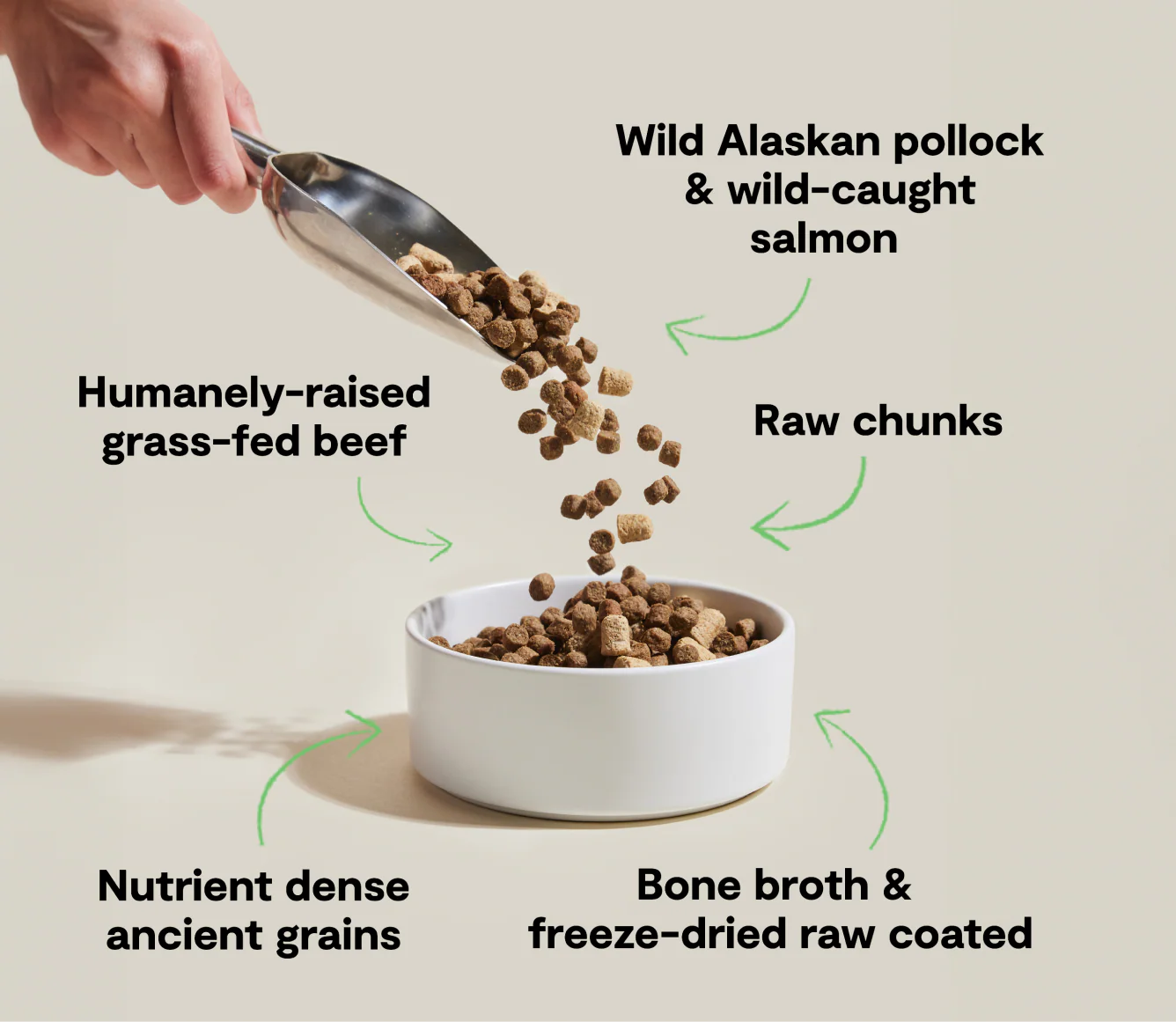 RawMix Tide & Terrain Ancient Grains Dog Kibble - Image 4